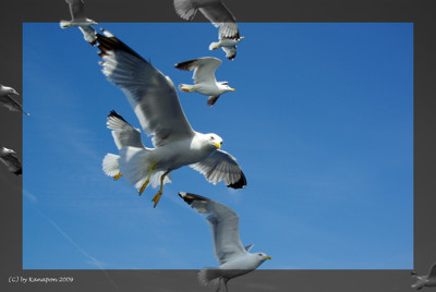 Click here to view at full resolution.