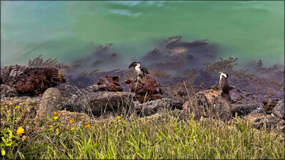 Click here to view at full resolution.