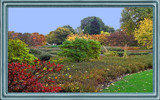 Autumn Scene 2 by Ramad, photography->gardens gallery