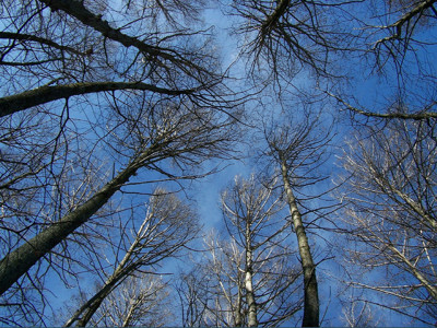 Click here to view at full resolution.