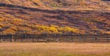 the fence by ro_and, photography->landscape gallery the fence by ro_and, photography->landscape gallery