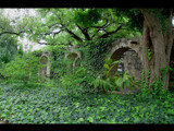 Alamo Arches by Zaeyal, Photography->Architecture gallery