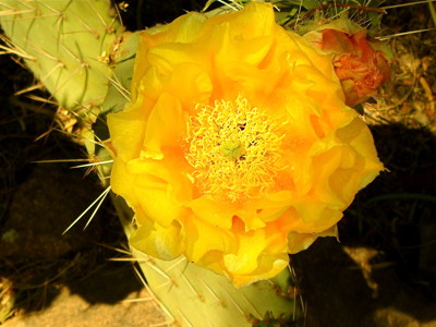 Click here to view at full resolution.