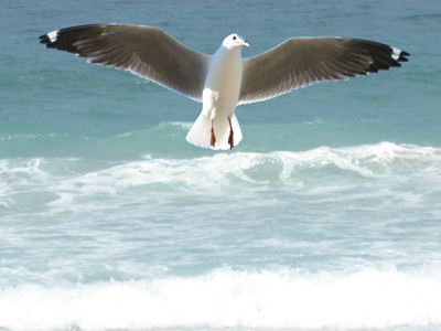 Click here to view at full resolution.