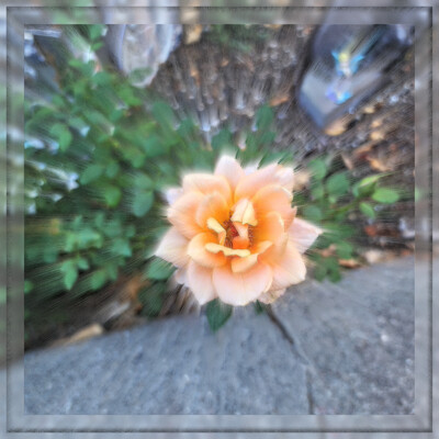 Click here to view at full resolution.