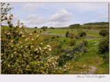 country lane........... by fogz, Photography->Landscape gallery