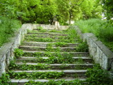 Stairway to the forest by sunnymay, Photography->Landscape gallery