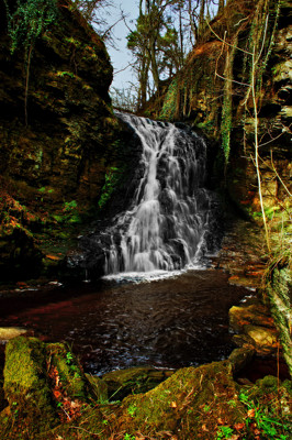 Click here to view at full resolution.