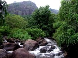 Downhill stream by sahadk, photography->landscape gallery