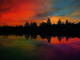 Christmas Colors by busybottle, photography->sunset/rise gallery