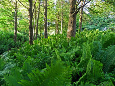 Click here to view at full resolution.