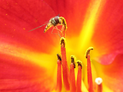 Click here to view at full resolution.