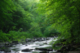 7 Mile Creek 4 by rriesop, photography->landscape gallery