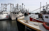 Port of New bedford by Tomeast, photography->boats gallery