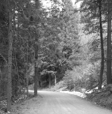 Click here to view at full resolution.