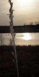 Late Winter Prairie Sunset by Pistos, photography->nature gallery