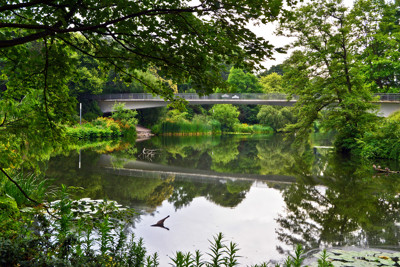 Click here to view at full resolution.