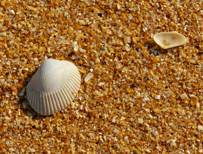 Click here to view at full resolution.