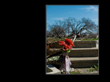 Remembrance by regmar, photography->photojournalism gallery