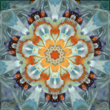 Orange Marmalade In The Shade by Flmngseabass, abstract gallery