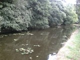 Sankey Valley Canal Walks (a) by Novice, Photography->General gallery