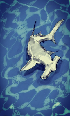 Click here to view at full resolution.