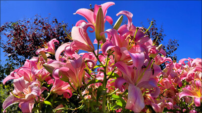 Click here to view at full resolution.