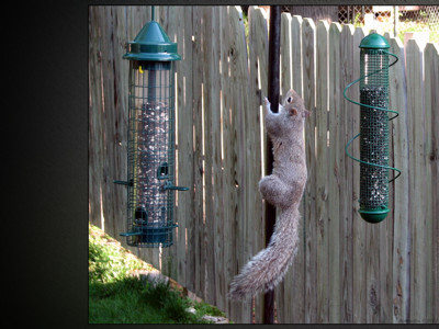 Click here to view at full resolution.