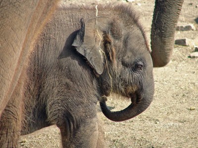 Click here to view at full resolution.