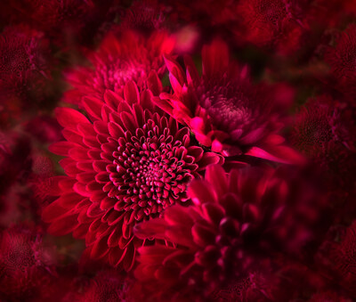 Click here to view at full resolution.
