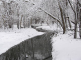 Creek by photoguy16, photography->landscape gallery