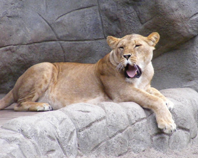 Click here to view at full resolution.