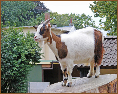 Click here to view at full resolution.