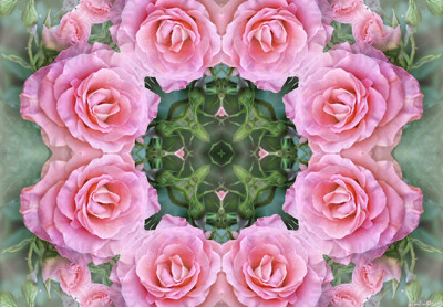 Click here to view at full resolution.