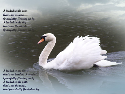 Click here to view at full resolution.