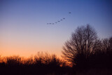 Flying Off into the Sunset by Pistos, photography->sunset/rise gallery