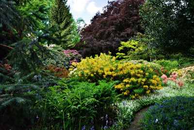 Click here to view at full resolution.