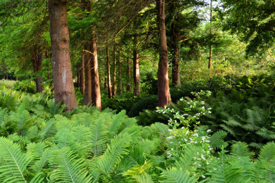 Click here to view at full resolution.