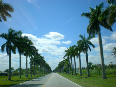 Click here to view at full resolution.