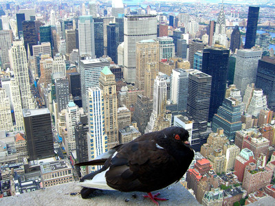 Click here to view at full resolution.