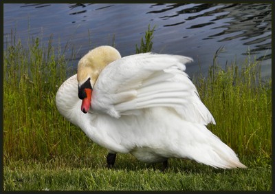 Click here to view at full resolution.