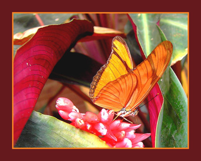 Click here to view at full resolution.