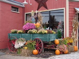 Storefront Fall Display by lilkittees, Photography->General gallery