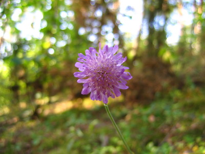 Click here to view at full resolution.