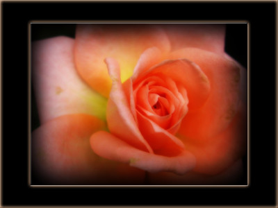 Click here to view at full resolution.