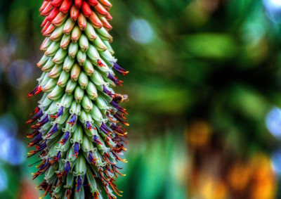 Click here to view at full resolution.