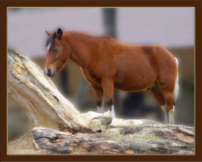 Click here to view at full resolution.