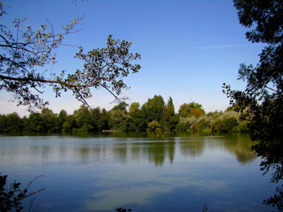 Click here to view at full resolution.