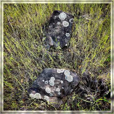 Click here to view at full resolution.