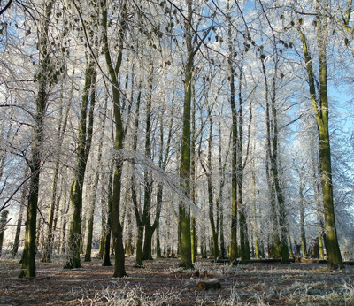 Click here to view at full resolution.